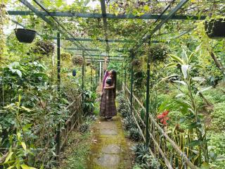 Greens Vista Wayanad - Premium Homestay Near Natural Stream - Panamaram - 8