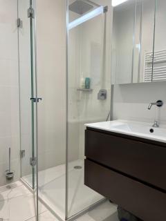 Luxury Apartment in Central Geneva - Ginevra - 3