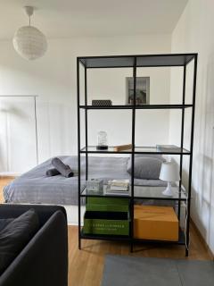 Luxury Apartment in Central Geneva - Ginevra - 4