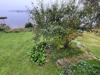 Holiday home Åmål - Åmål - 1