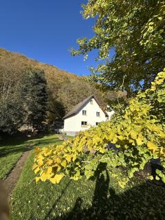 Ferienhaus Ginkgo Biloba - Malsbenden - 9