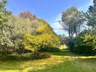 Farm stay at Thyme Cottage on Haldon Estate - 3