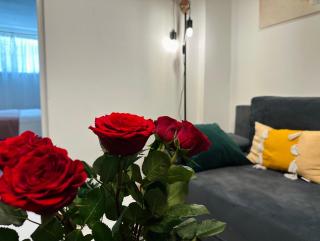 Petra Aparthotel la Poarta Schei BV - 9