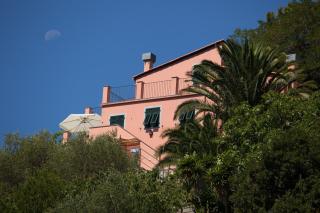 Il Nettare - 3