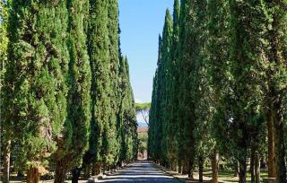 8 Bedroom Awesome Home In Arezzo - Arezzo - 3