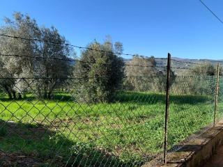 Casina Le Rondini - 9