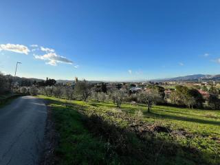 Casina Le Rondini - 3