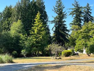 Modern Studio in MarysVille A Forest Haven - 7