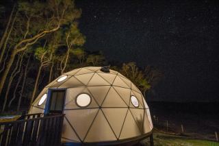 Mile End Glamping - 7