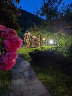 Casa de vacanta Vidrighin - 6