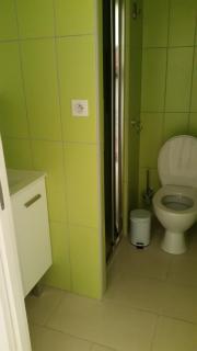 Studette Roseaux - 4