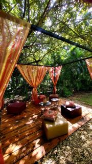 Célèbre VILLA VENUS Playacar - 24 Pax - 5