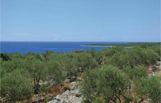 Holiday Home Stratincica 83 With Outdoor Swimmingpool - Vela Luka - 6