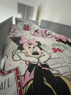 Homewood - entire property for 6 people - 4 adults maximum - in village 10 min from Disneyland Paris & TGV RER A - Montry - 1