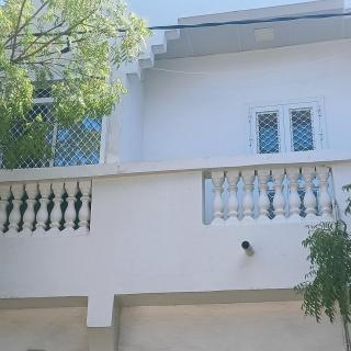 White Houses - 7