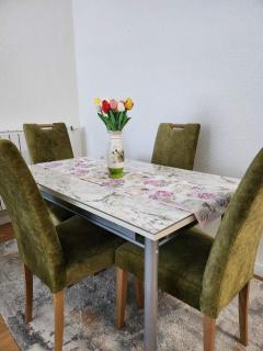 Luxury Apartment Bulevar - Sarajevo - 6