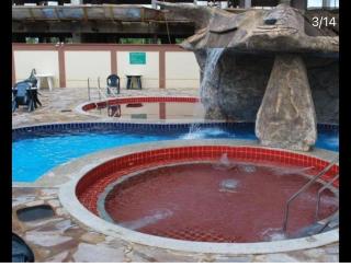 Golden Dolphin Supreme - 7