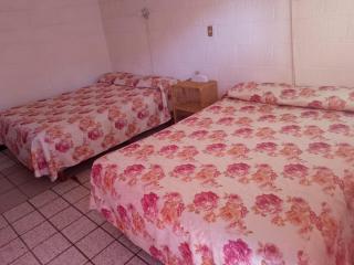 Hotel California - Nuevo Casas Grandes - 4