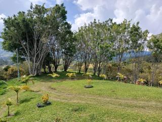 Casa de Campo OLIVOS - Jericó - 3