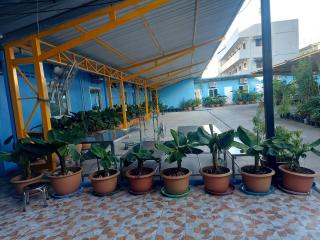 Nopphadon Hotel - Lat Krabang - 2