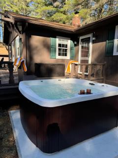 Mossy Bear Retreat - Chestertown - 8