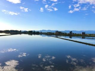 Jabez Homestay - Città di Yilan - 8