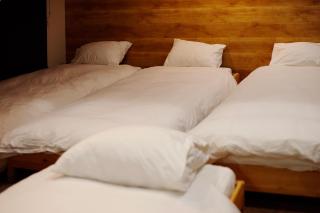 Toritonear502-with parking space-S-beds4 - Sapporo - 3