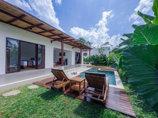 Casa Mahesa Villas Ubud - Ubud - 7