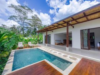Casa Mahesa Villas Ubud - Ubud - 5