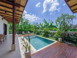 Casa Mahesa Villas Ubud - Ubud - 3
