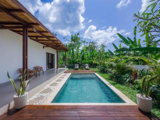 Casa Mahesa Villas Ubud - Ubud - 9