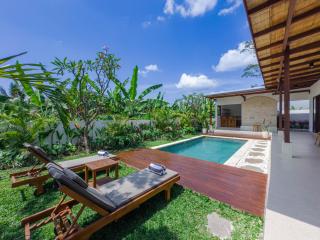 Casa Mahesa Villas Ubud - Ubud - 1