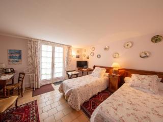 Charmante chambre avec terrasse privée et wifi à Saint-Benoît-sur-Loire - FR-1-590-487 - 2