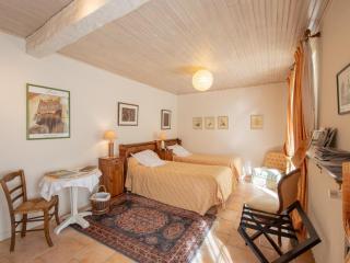 Chambres et Suites au Calme avec Wifi et Animaux Acceptés - FR-1-590-475 - Saint-Benoît-sur-Loire - 8
