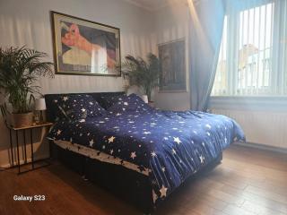 Serenity Big Room - Bruxelles - 6