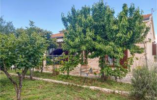 2 Bedroom Amazing Home In Pridraga - Pridraga - 5