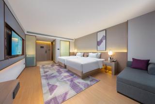 Lavender Hotel Xinle Shijiazhuang Airport Hebei Academy of Fine Arts - 5