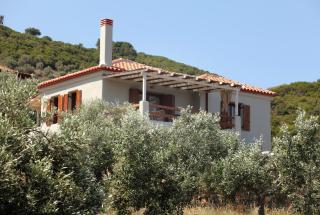 Casa Kalypso Suites & Villa - Steni Vala Alonissos - 1
