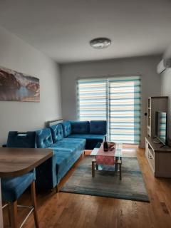 Luxury Blue Apartment Bulevar - Sarajevo - 5
