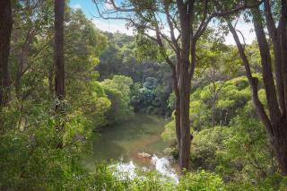 Wilyabrup River Retreat- Flutes Estate, Margaret River - Wilyabrup - 8