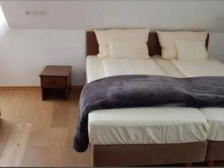 Hotel Waldschlößchen - 9