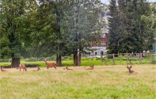 Cozy Home In Oberharz With Wifi - Waldschlösschen - 9