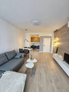 Modern 1BR Apartment with Garage in Center - 1