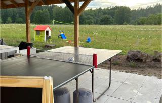 Nice Home In Stare Sady With Kitchen - Stare Sady - 3