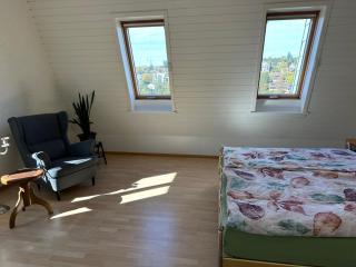 Stilvolles Privatzimmer im Einfamilienhaus nahe Basel - Oberwil - 1