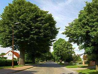 Komfortable Ferienwohnung - Gotthun - 7