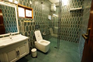 Brown Town Resort & Spa - Haiderabad - 9