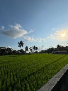 Uma Dewa Villa Sawah View - Tampaksiring - 5