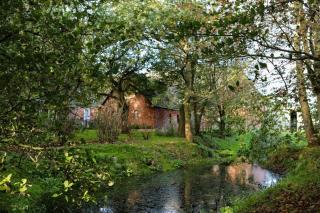 Ferienwohnung-Rungholt-Edomsharder-Hof-Nordstrand - Nordstrand - 5
