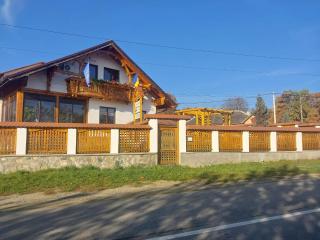 Casa Amalia Tocile -Sadu - Sadu - 8